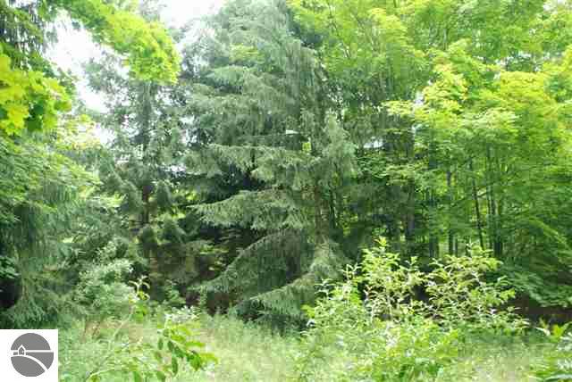2426 East Kasson Road Cedar, MI 49621 - Photo 25 of 25 1734235-24.JPG