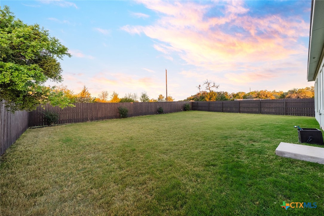 1909 Four Waters Loop Georgetown, TX 78628 - Photo 33 of 35 a view of a grassy field with an trees
