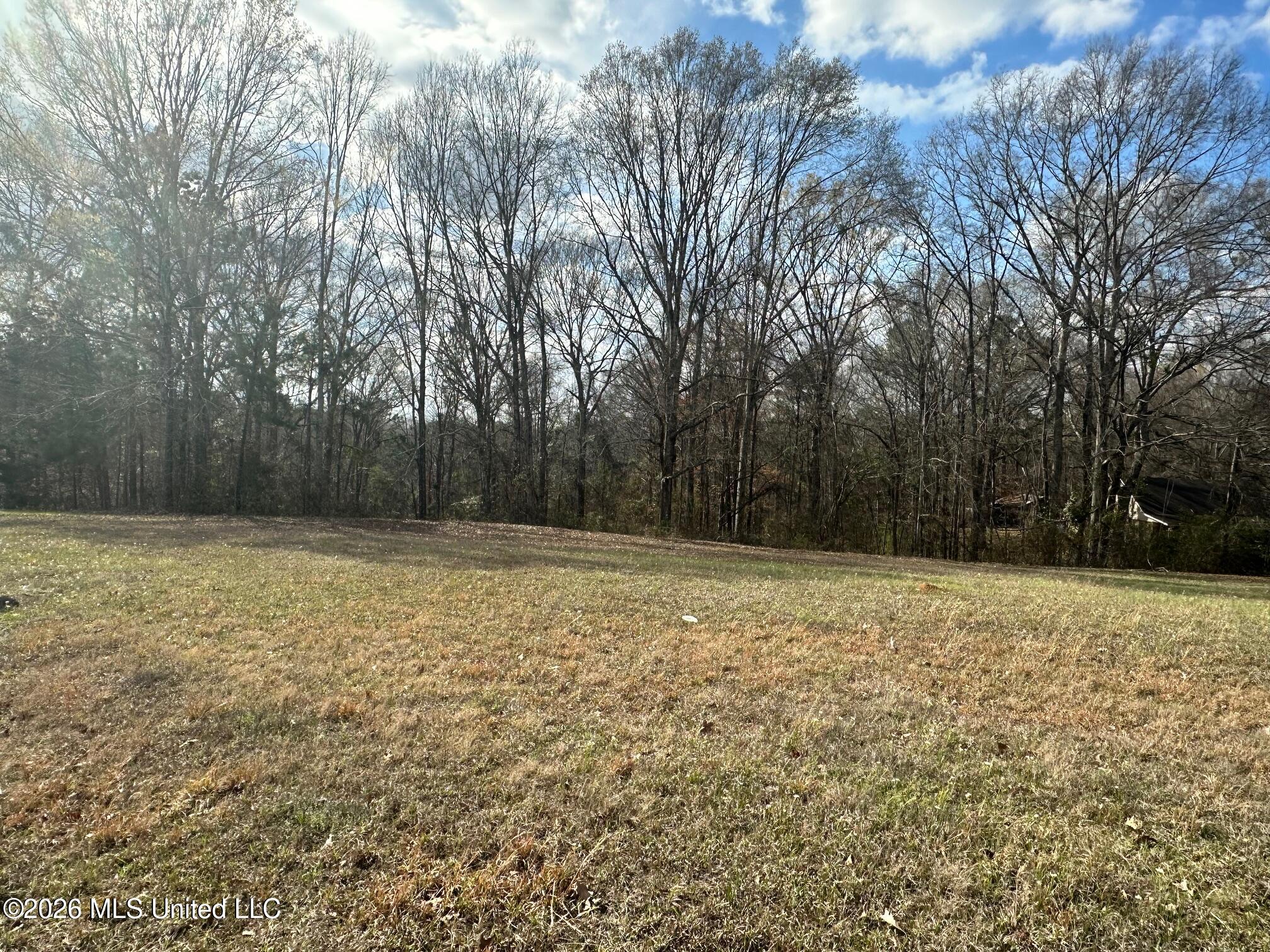 Ward Road Florence, MS 39073 - Photo 2 of 10 IMG_3869 - Copy