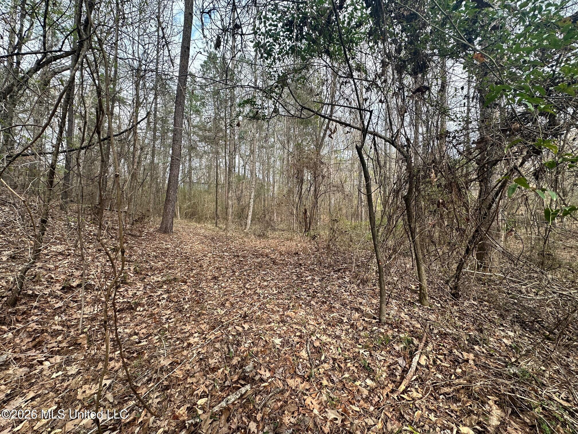 Ward Road Florence, MS 39073 - Photo 5 of 10 IMG_3872 - Copy