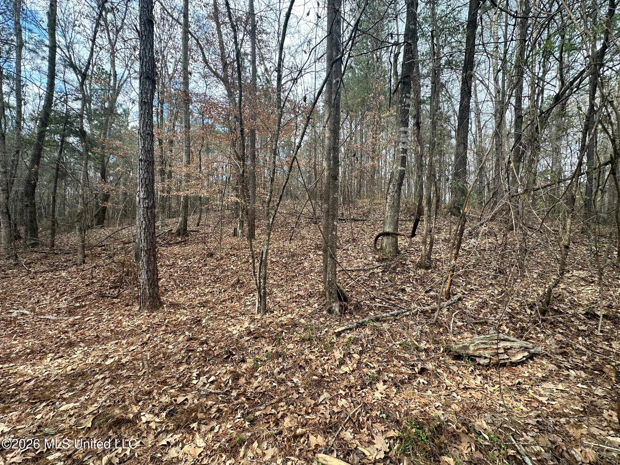 Ward Road Florence, MS 39073 - Photo 6 of 10 IMG_3873