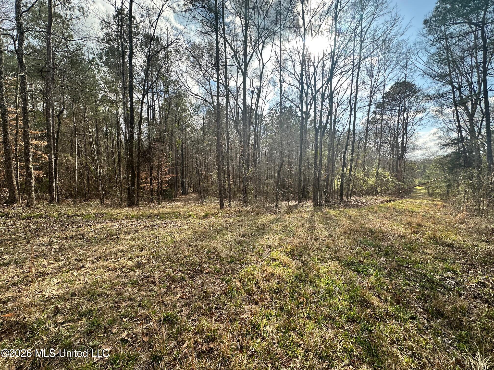 Ward Road Florence, MS 39073 - Photo 7 of 10 IMG_3874