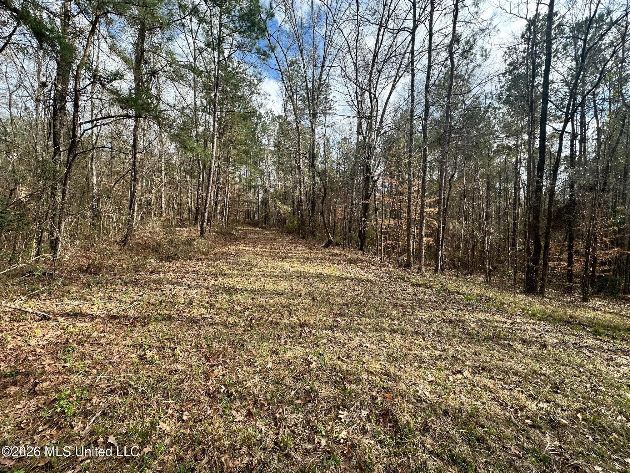 Ward Road Florence, MS 39073 - Photo 8 of 10 IMG_3875