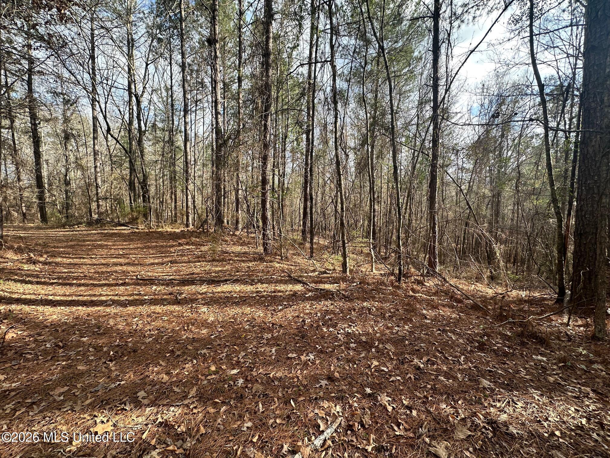 Ward Road Florence, MS 39073 - Photo 10 of 10 IMG_3877