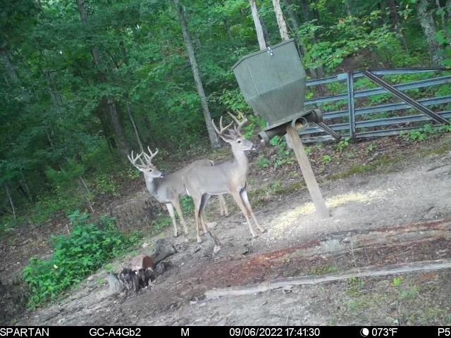 0 White Oak Road McEwen, TN 37101 - Photo 29 of 31 Gallery Image 29