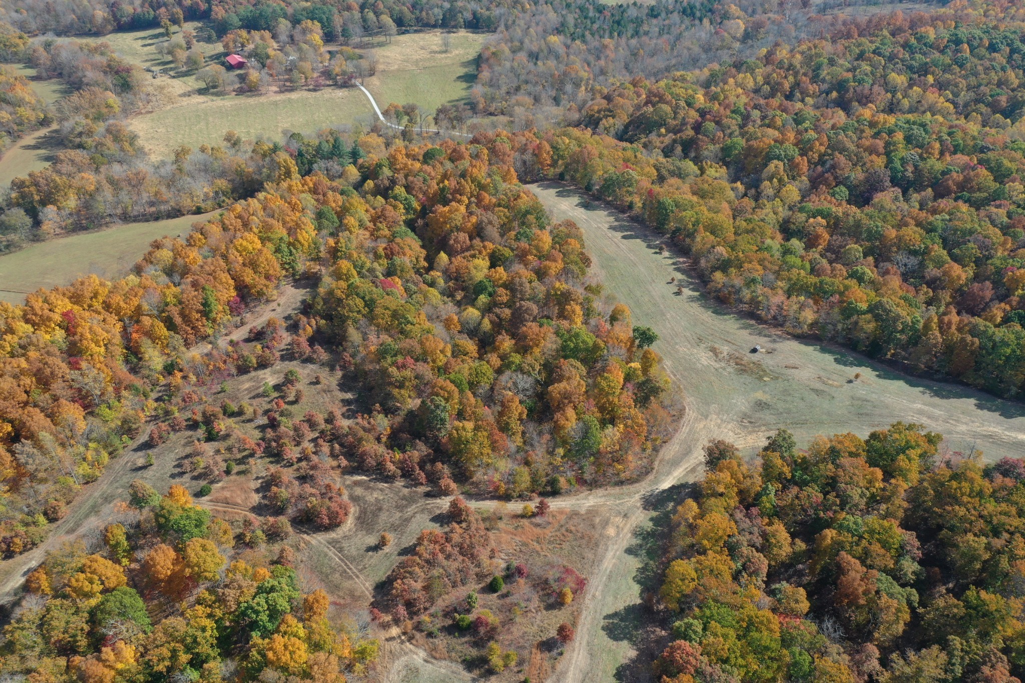 0 White Oak Road McEwen, TN 37101 - Photo 3 of 31 Gallery Image 3