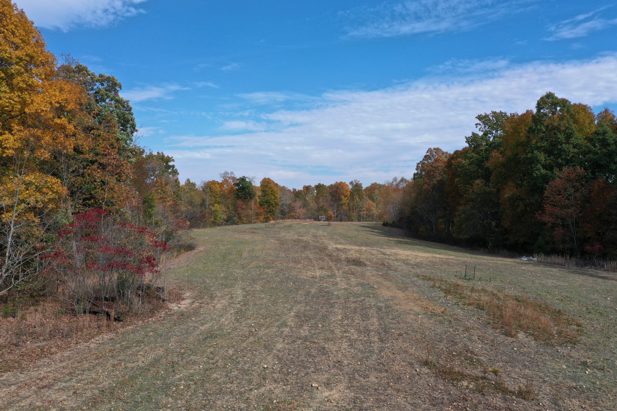 0 White Oak Road McEwen, TN 37101 - Photo 9 of 31 Gallery Image 9