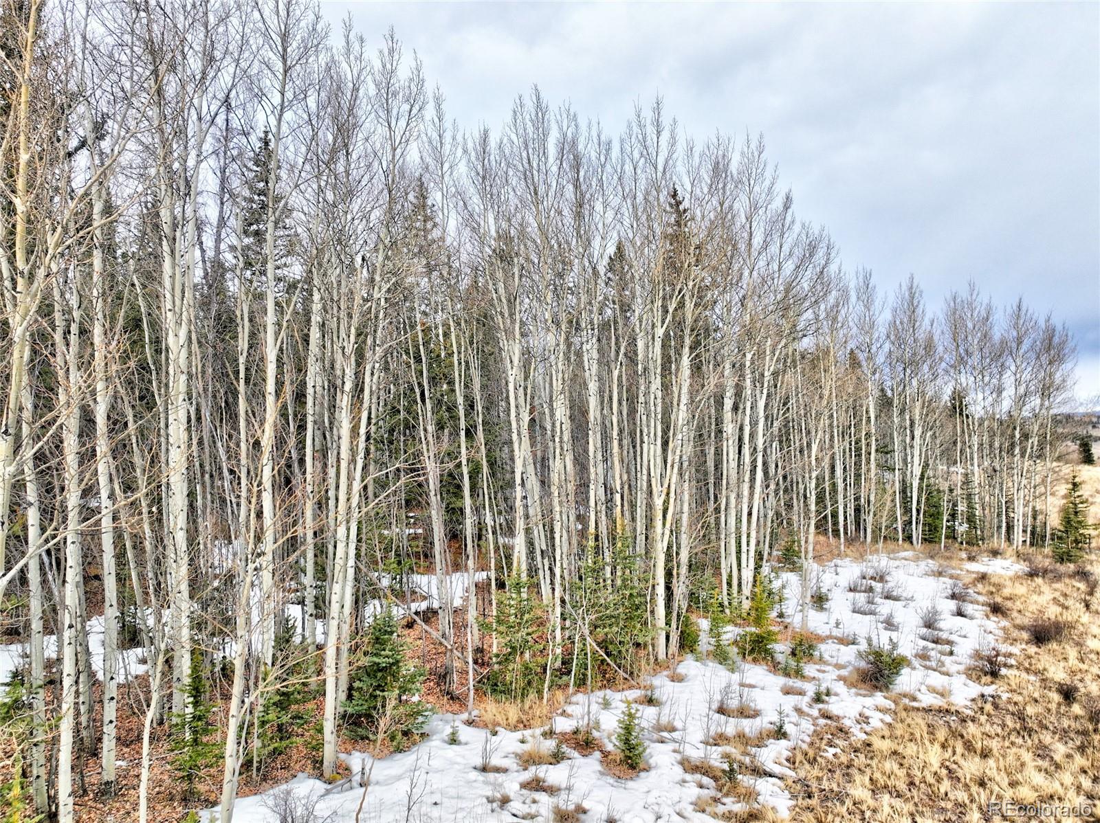 1161 West Longbow Drive Como, CO 80456 - Photo 12 of 29