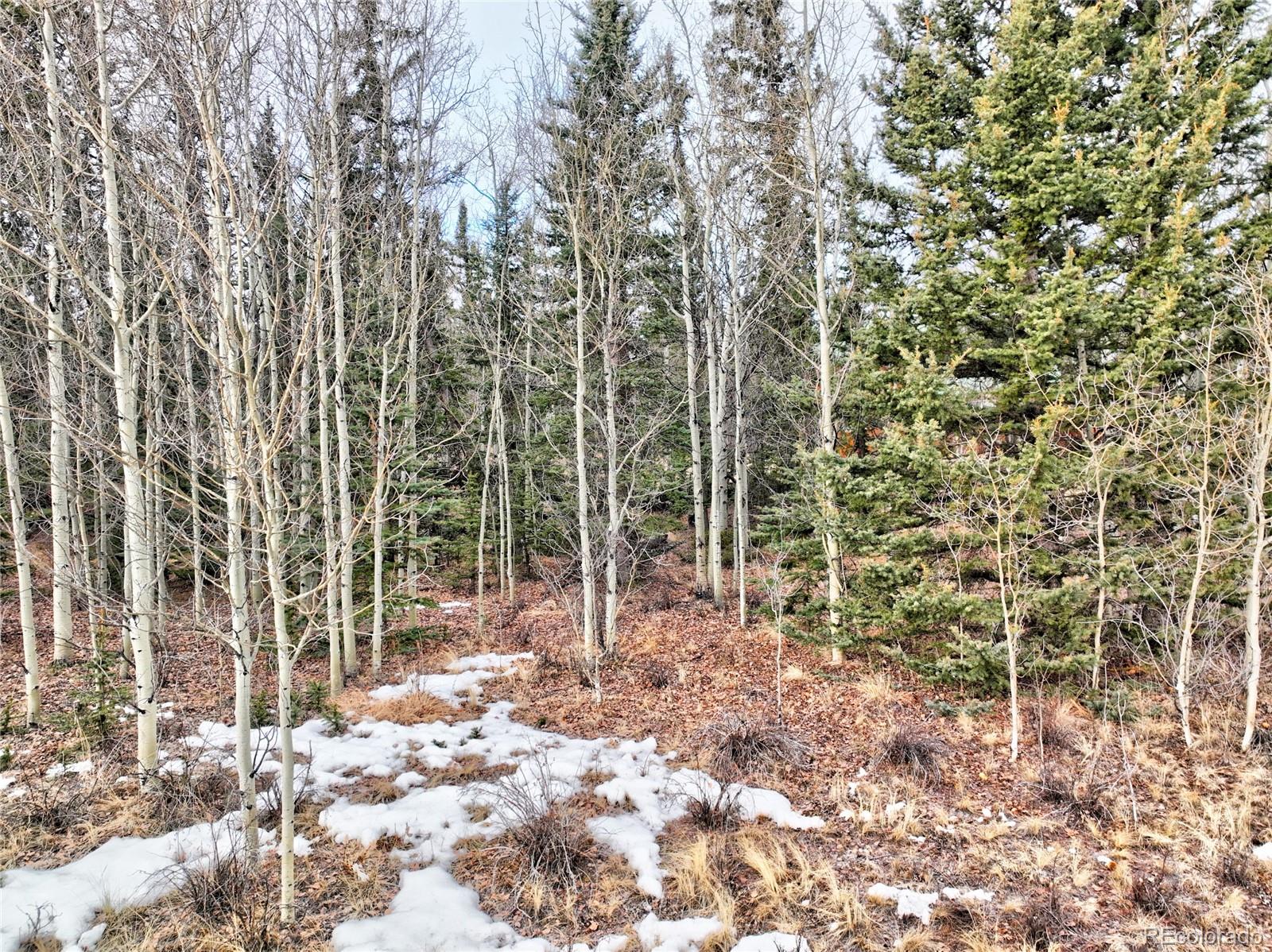 1161 West Longbow Drive Como, CO 80456 - Photo 17 of 29