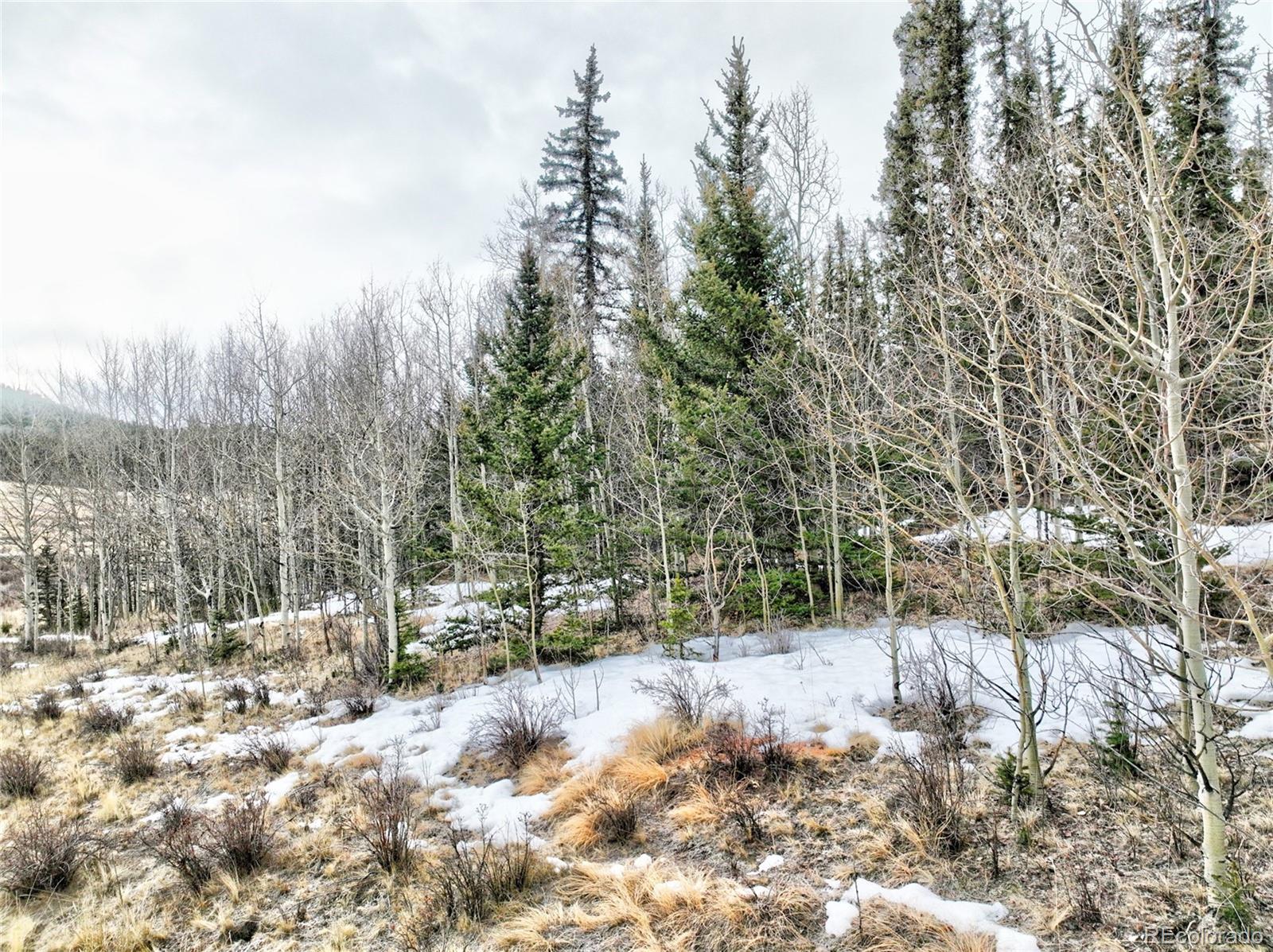 1161 West Longbow Drive Como, CO 80456 - Photo 20 of 29