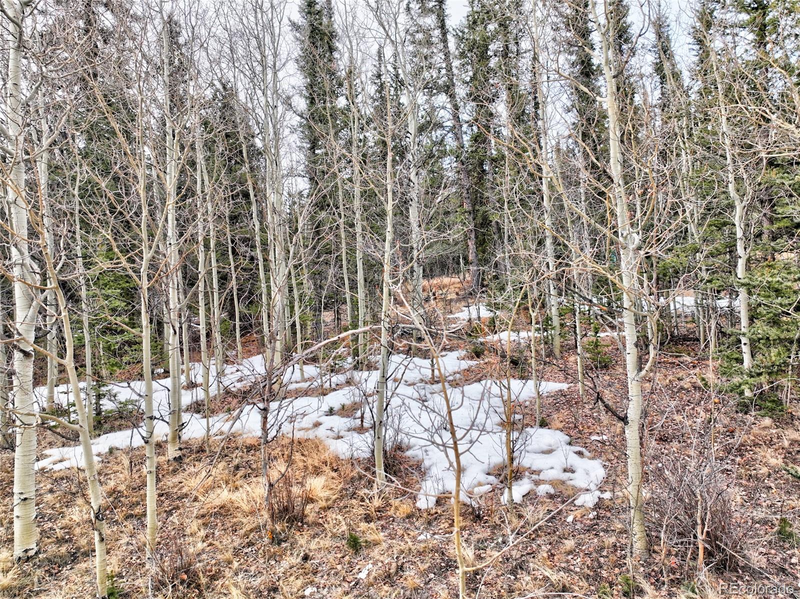 1161 West Longbow Drive Como, CO 80456 - Photo 23 of 29