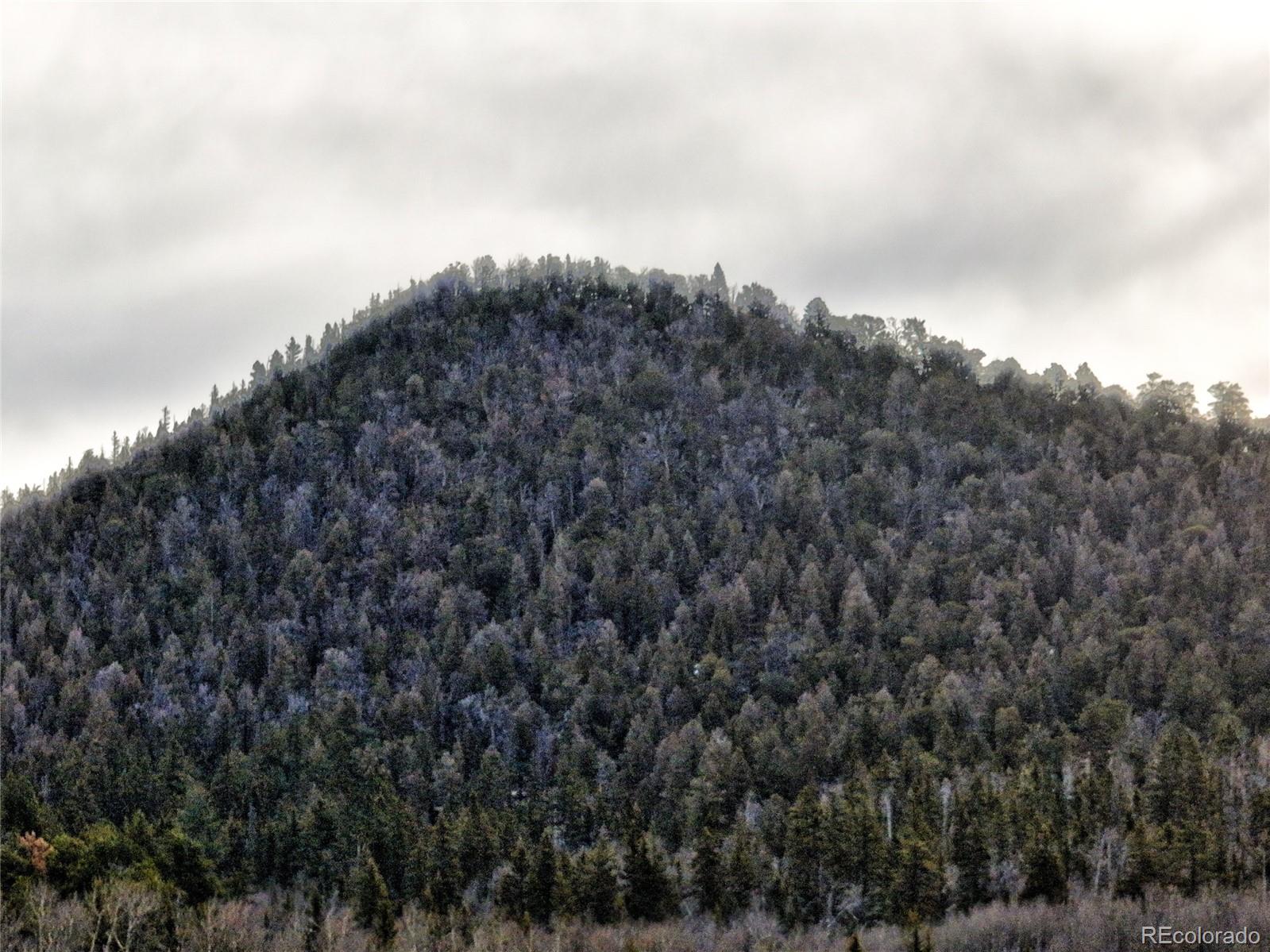 1161 West Longbow Drive Como, CO 80456 - Photo 26 of 29