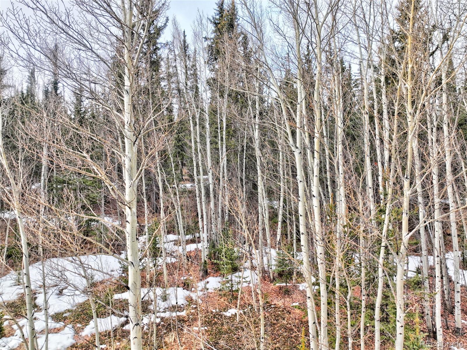 1161 West Longbow Drive Como, CO 80456 - Photo 29 of 29