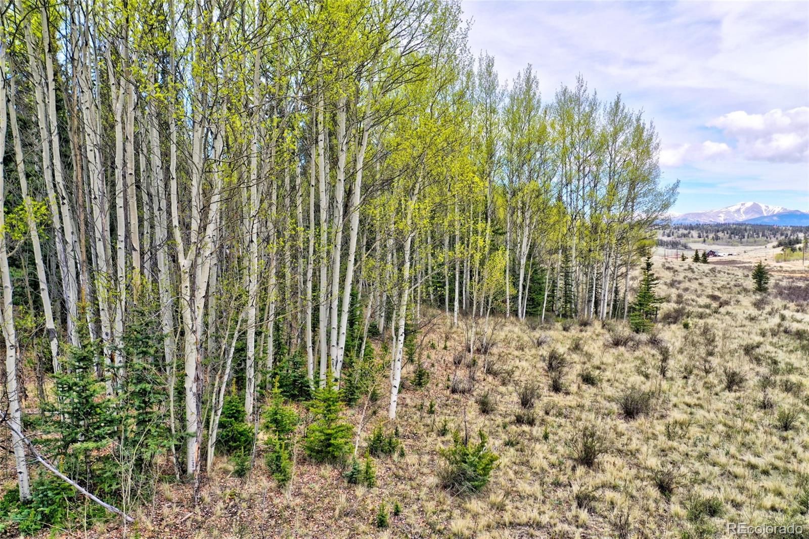 1161 West Longbow Drive Como, CO 80456 - Photo 6 of 29