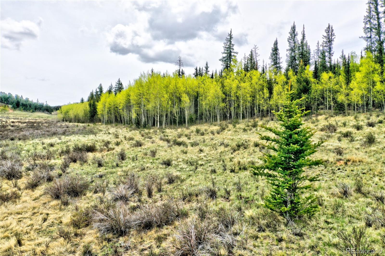 1161 West Longbow Drive Como, CO 80456 - Photo 8 of 29