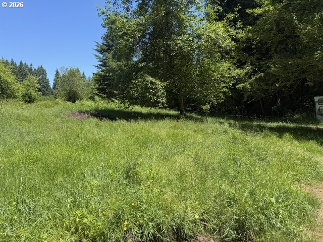 82467 Crowder Road Seaside, OR 97138 - Photo 3 of 13 Creek