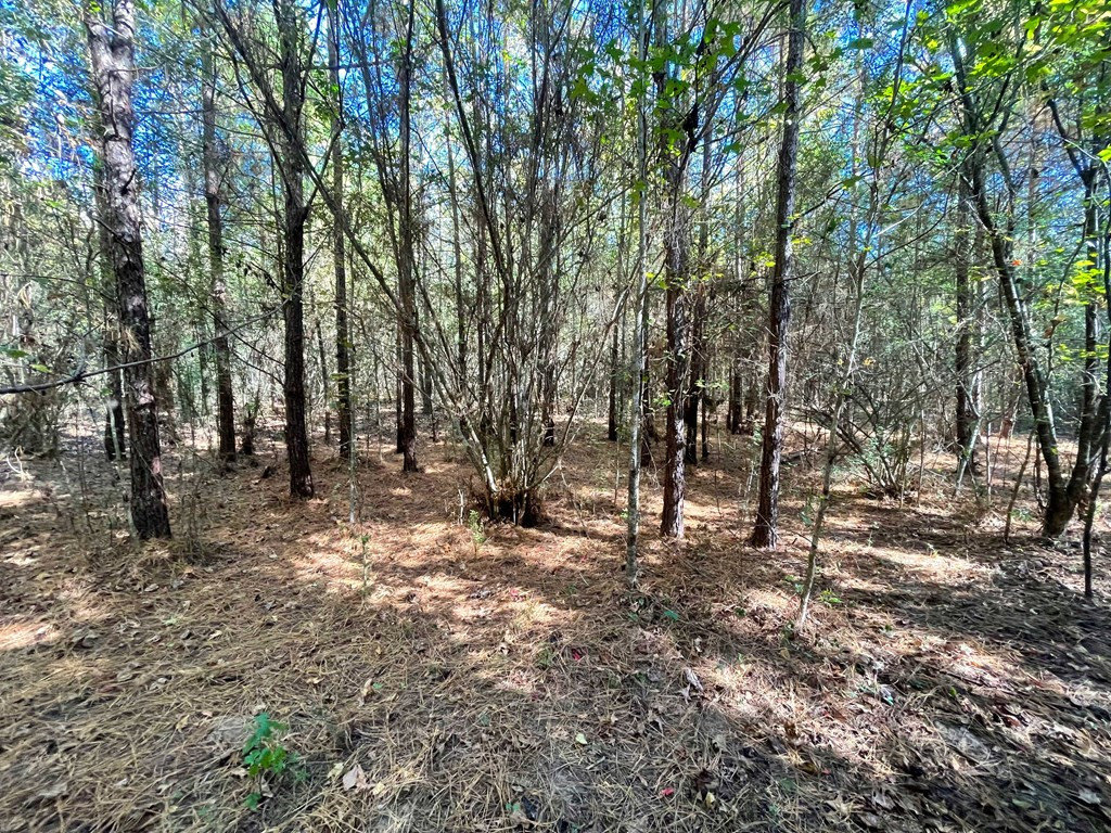3051 Gleenwood Road Southeast Ruth, MS 39662 - Photo 19 of 22 Photo 19