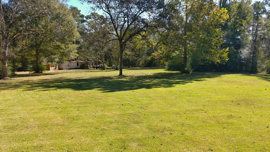 3051 Gleenwood Road Southeast Ruth, MS 39662 - Photo 5 of 22 Photo 5