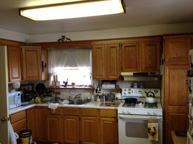 4315 Blue Bush Road Monroe, MI 48162 - Photo 5 of 10 Kitchen