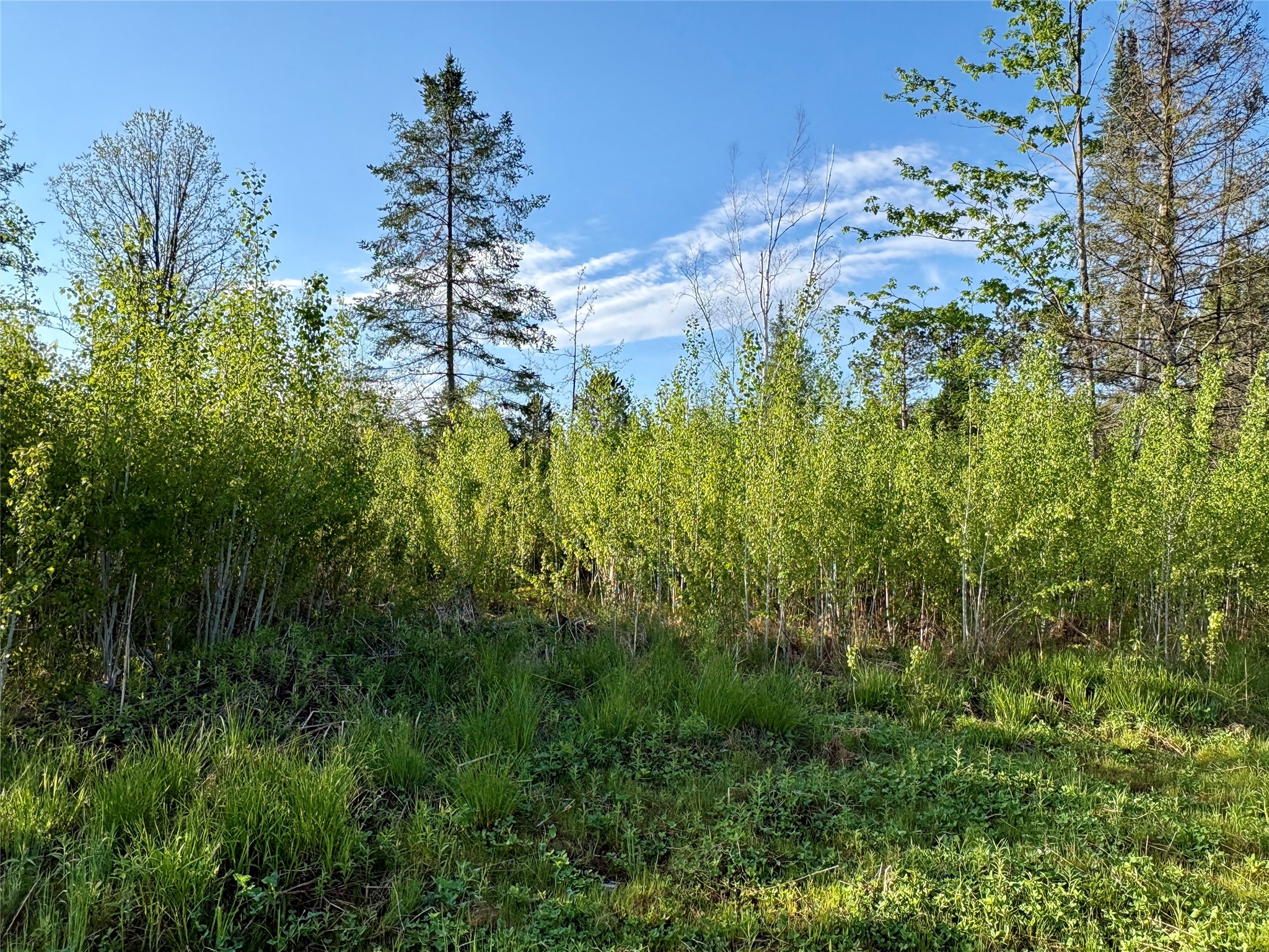 Lot 2 Girod Road Ladysmith, WI 54848 - Photo 25 of 26
