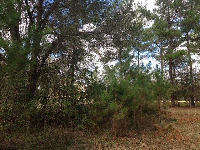 Vacant Old Lloyd Road Monticello, FL 32344 - Photo 19 of 25 Gallery Image 19