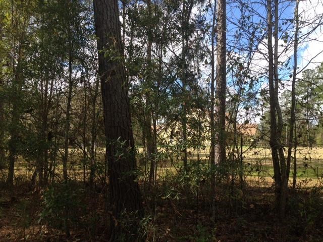 Vacant Old Lloyd Road Monticello, FL 32344 - Photo 22 of 25 Gallery Image 22