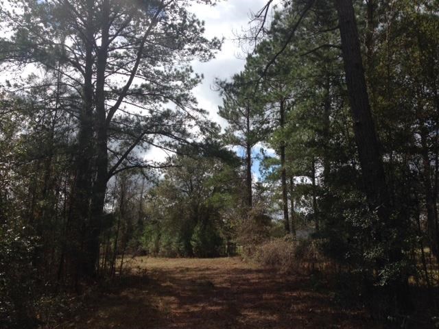 Vacant Old Lloyd Road Monticello, FL 32344 - Photo 23 of 25 Gallery Image 23