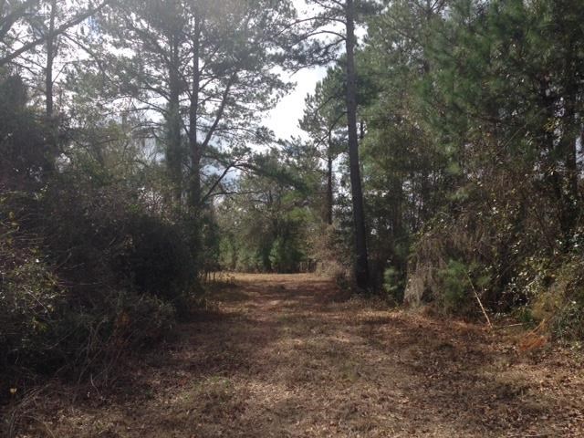 Vacant Old Lloyd Road Monticello, FL 32344 - Photo 24 of 25 Gallery Image 24