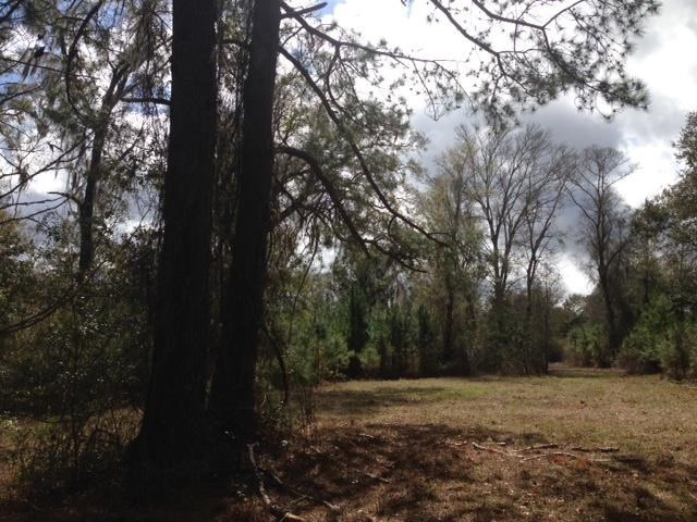 Vacant Old Lloyd Road Monticello, FL 32344 - Photo 25 of 25 Gallery Image 25