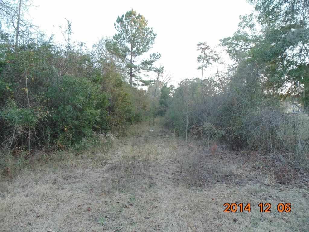 Vacant Old Lloyd Road Monticello, FL 32344 - Photo 8 of 25 Gallery Image 8