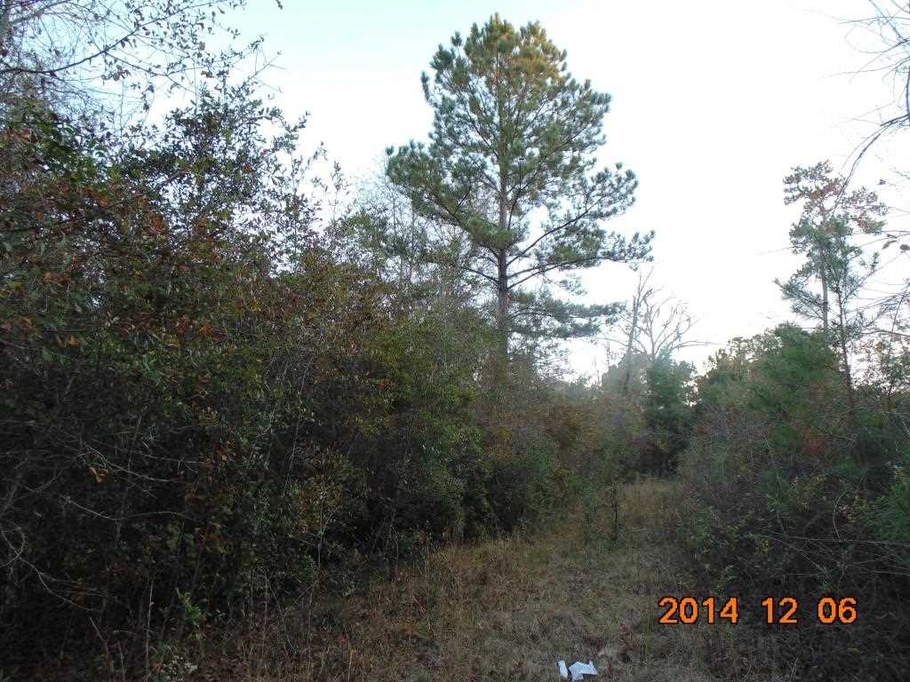 Vacant Old Lloyd Road Monticello, FL 32344 - Photo 9 of 25 Gallery Image 9
