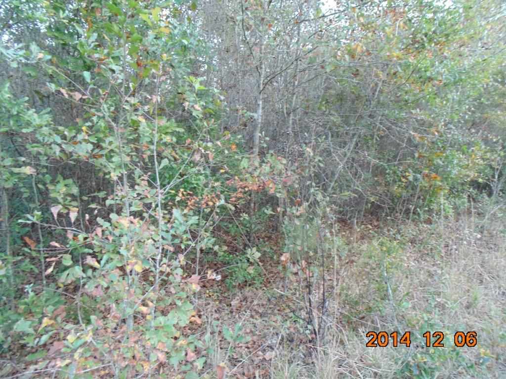 Vacant Old Lloyd Road Monticello, FL 32344 - Photo 10 of 25 Gallery Image 10