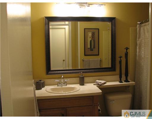 5 Chandler Road Somerset, NJ 08873 - Photo 6 of 10 a bathroom with a sink and a mirror