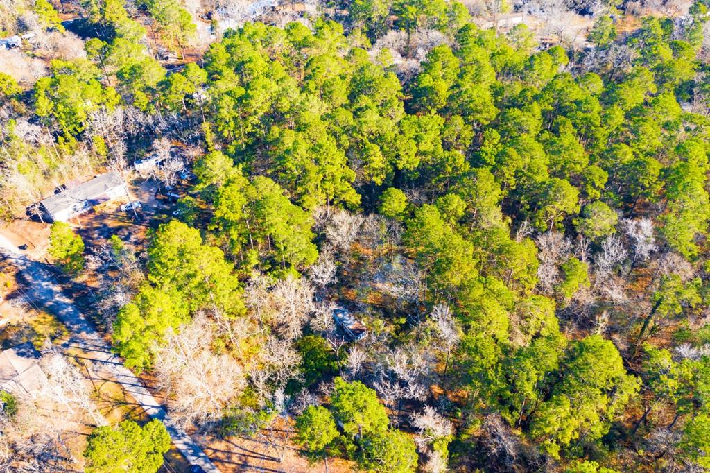 Lot 30 Cedar Court Trinity, TX 75862 - Photo 16 of 19 a view of a tree