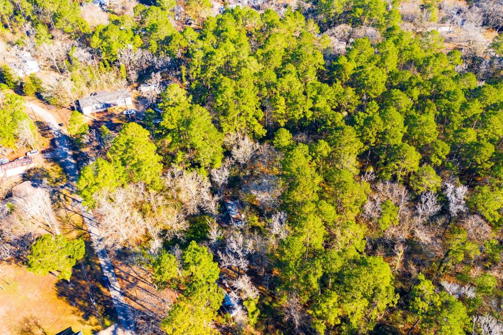 Lot 30 Cedar Court Trinity, TX 75862 - Photo 17 of 19 a view of a tree