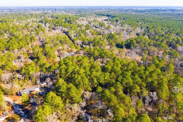 a view of a bunch of trees and houses