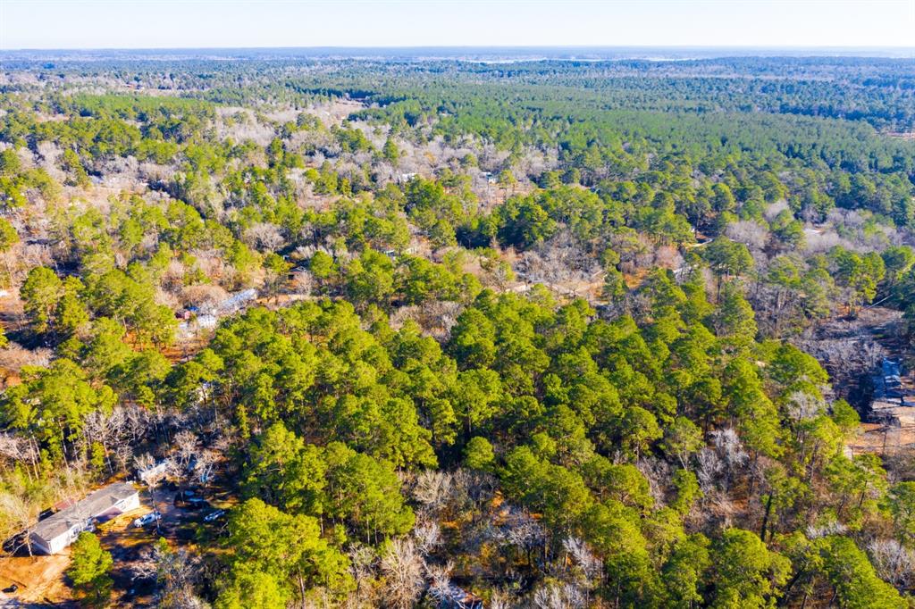 Lot 30 Cedar Court Trinity, TX 75862 - Photo 19 of 19 a view of a lush green field
