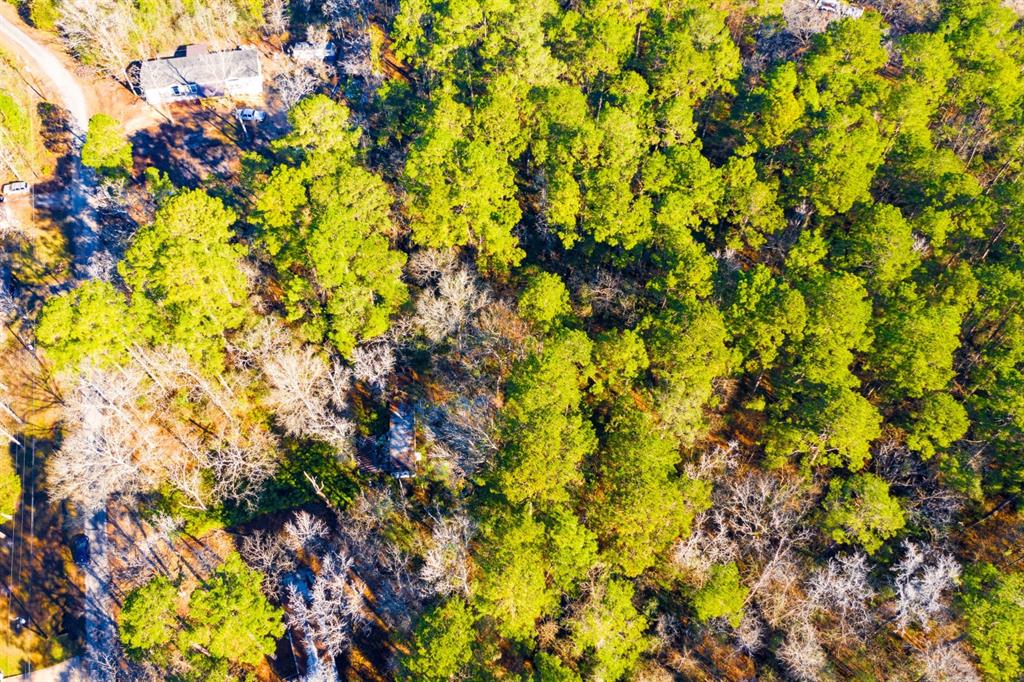 Lot 30 Cedar Court Trinity, TX 75862 - Photo 4 of 19 a view of a tree