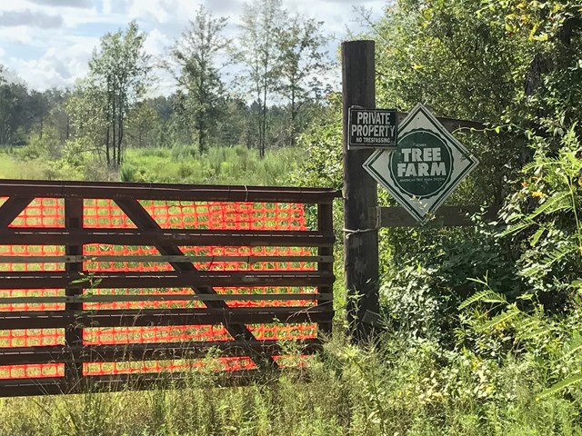 0 Northeast Owens Community Road Vernon, FL 32462 - Photo 1 of 1