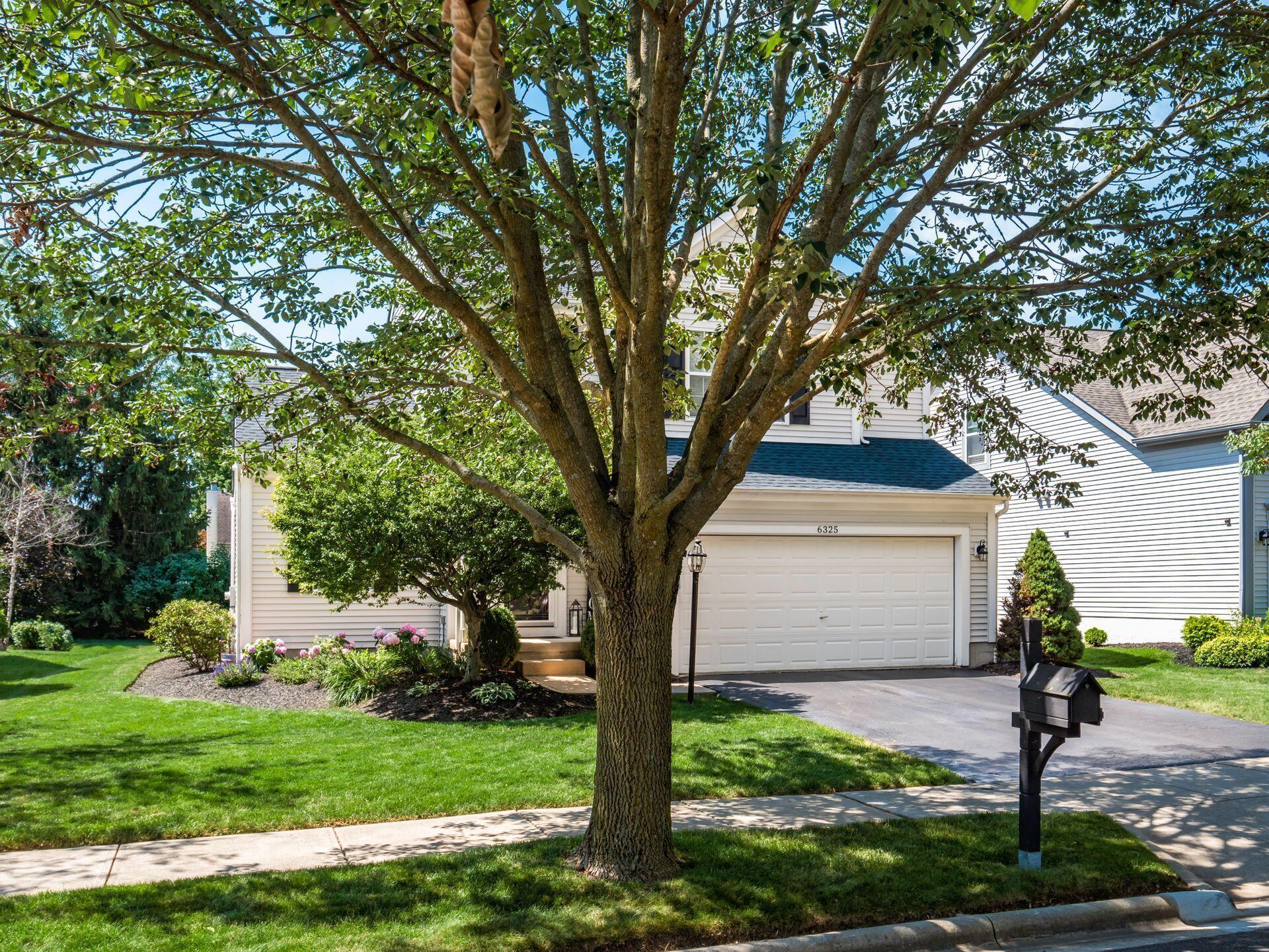6325 Kendall Ridge Boulevard Dublin, OH 43016 - Photo 8 of 46 006_ 6325 Kendall Ridge 098-2