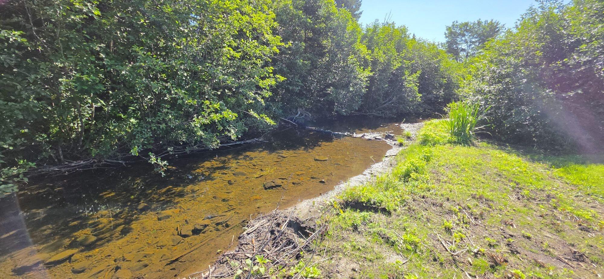 245 Kinney Road Blaine, ME 04734 - Photo 17 of 79 20250802_092818