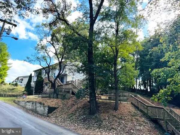 a view of a yard with plants and trees