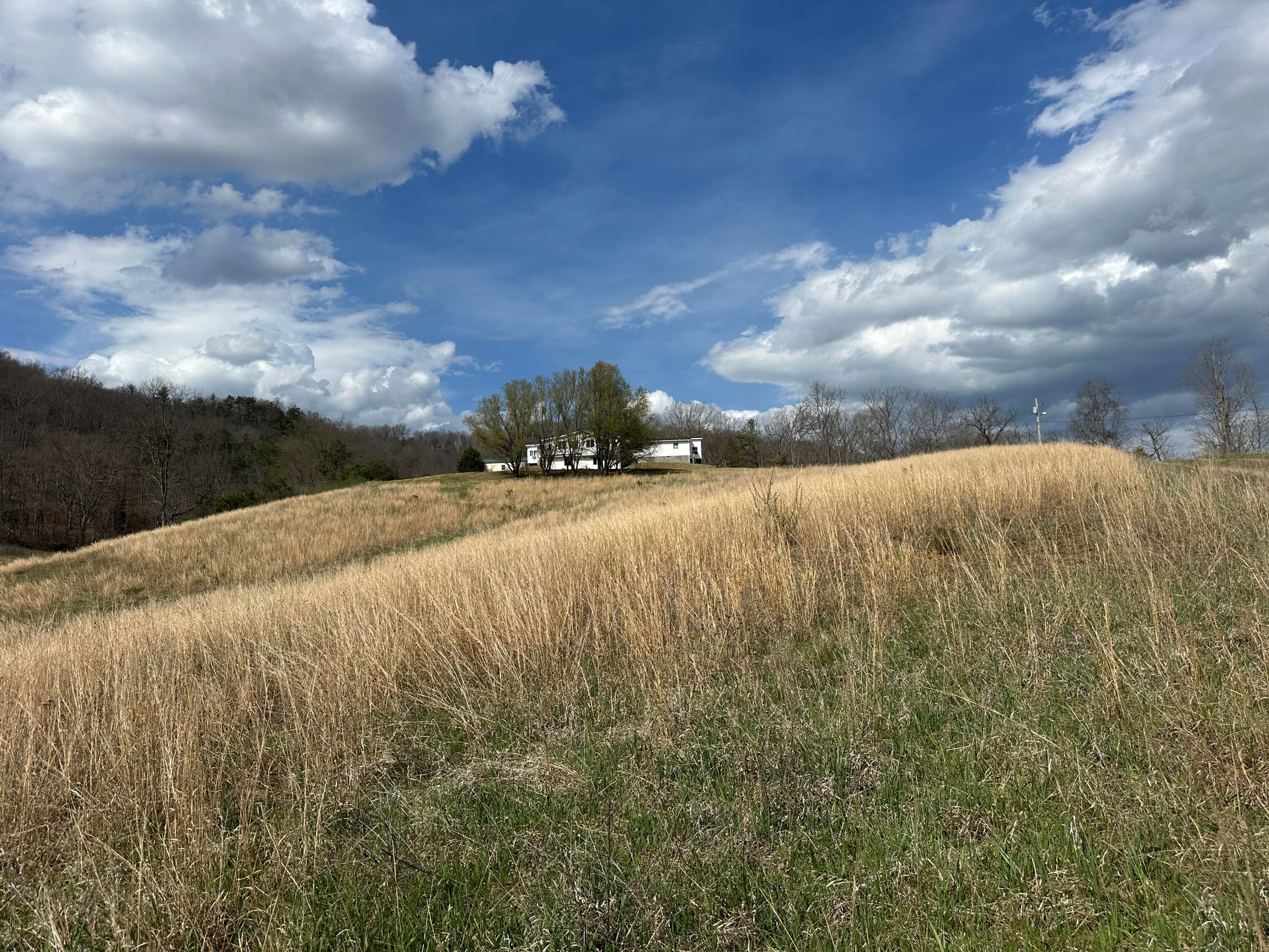 1265 Willow Bend Road Lindside, WV 24951 - Photo 10 of 60 IMG_3479