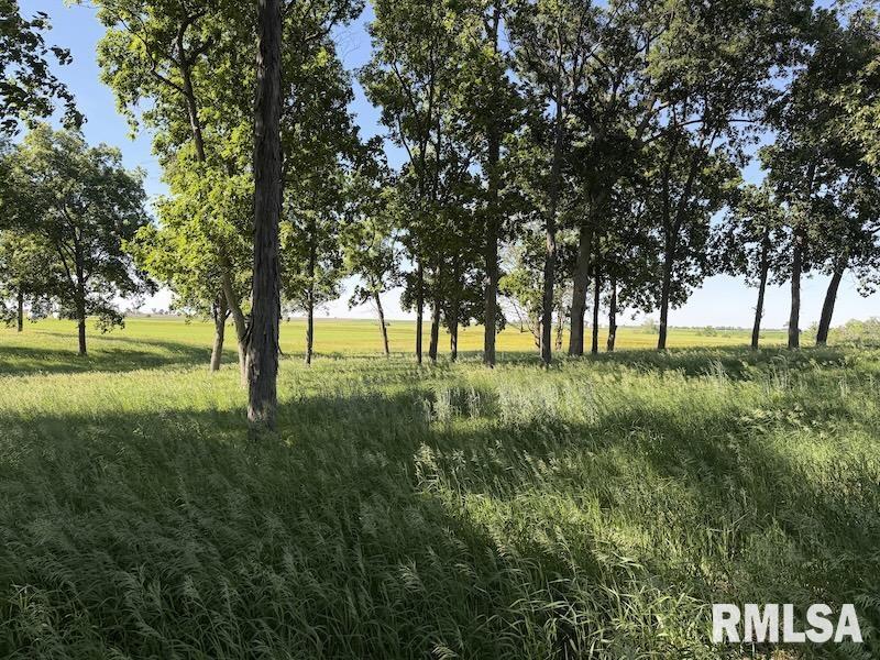 596 East 2250th Road Westfield, IL 62474 - Photo 26 of 61
