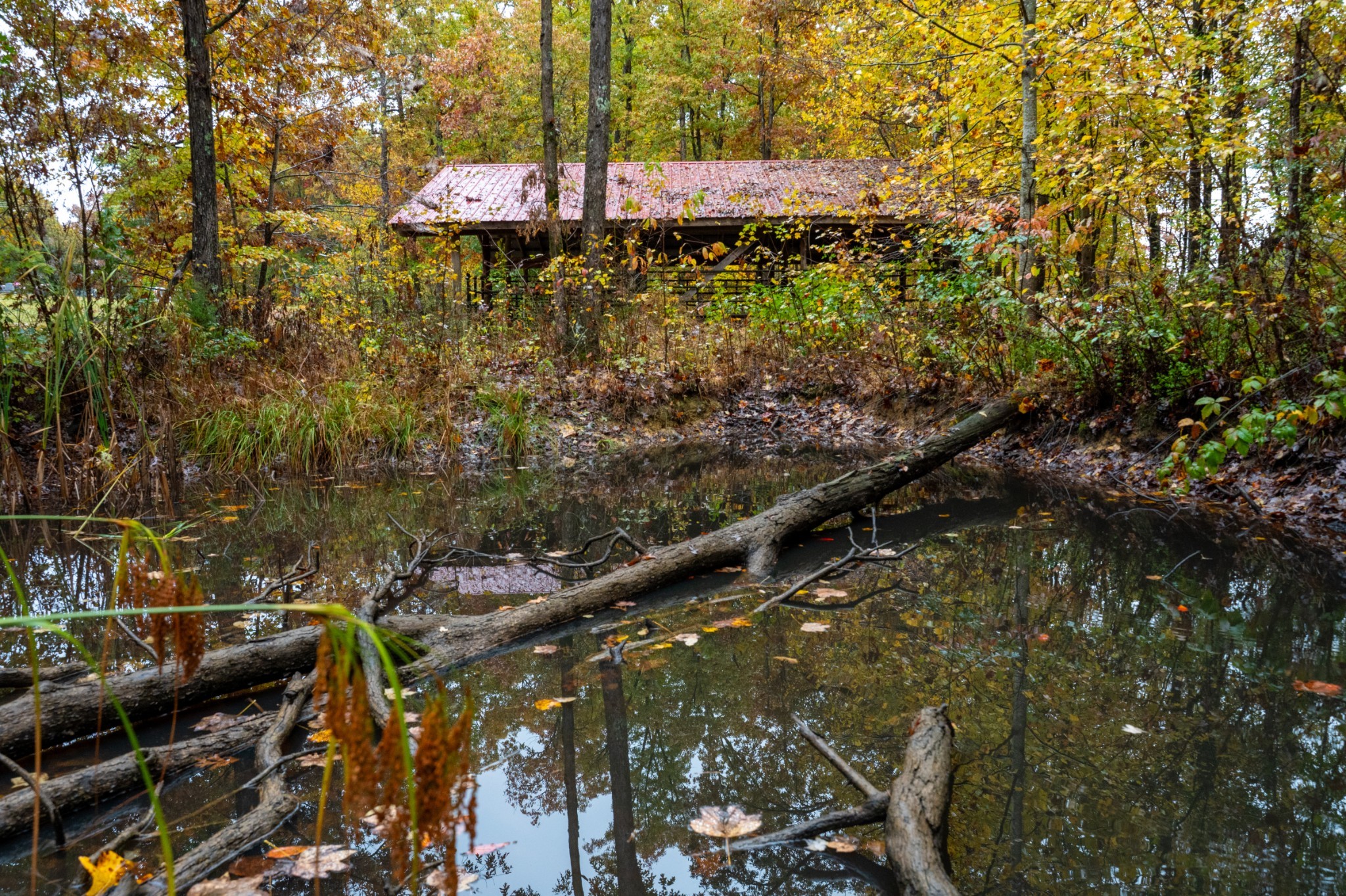 0 Roanoke Road Jamestown, TN 38556 - Photo 1 of 19
