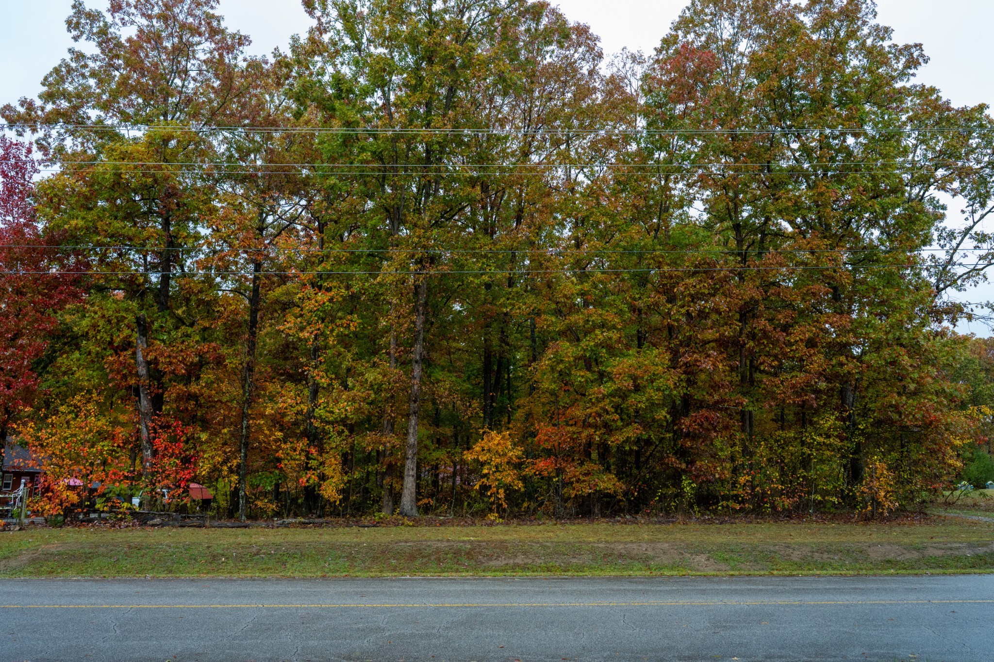 0 Roanoke Road Jamestown, TN 38556 - Photo 17 of 19 a view of a field