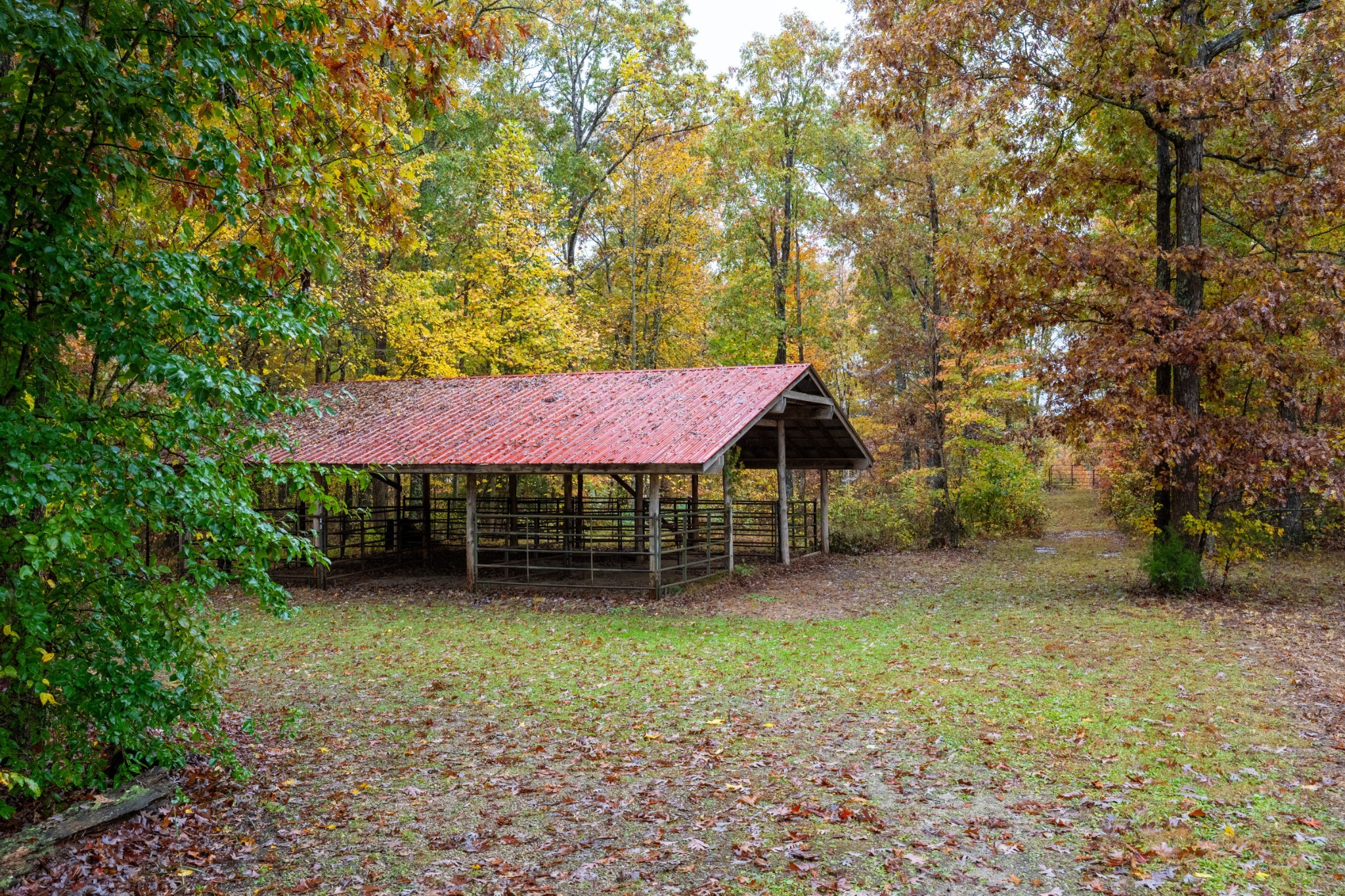 0 Roanoke Road Jamestown, TN 38556 - Photo 2 of 19 a backyard of a house with table and chairs