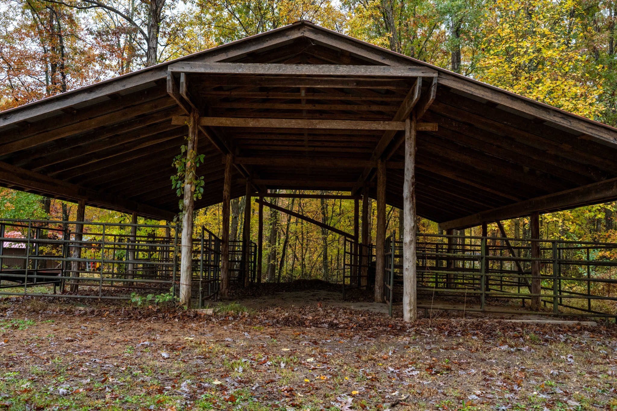 0 Roanoke Road Jamestown, TN 38556 - Photo 7 of 19