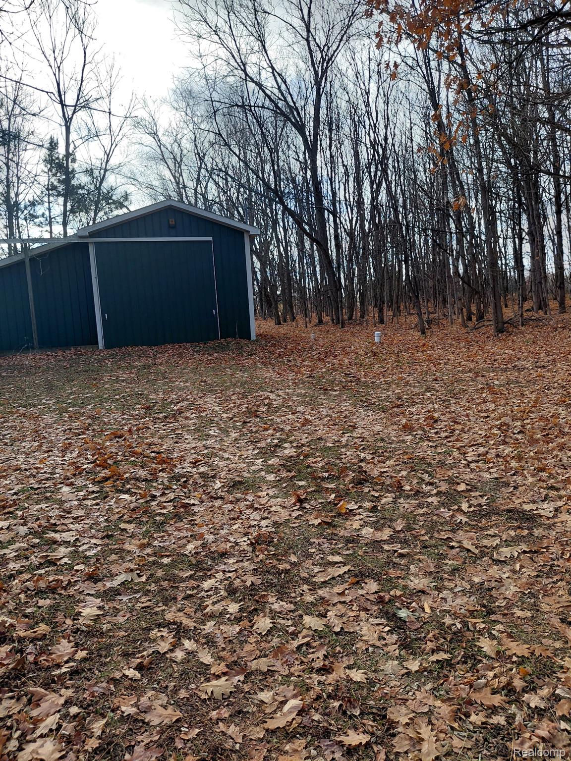 4547 Potter Road Bear Lake, MI 49614 - Photo 1 of 7 Potter 1.jpg