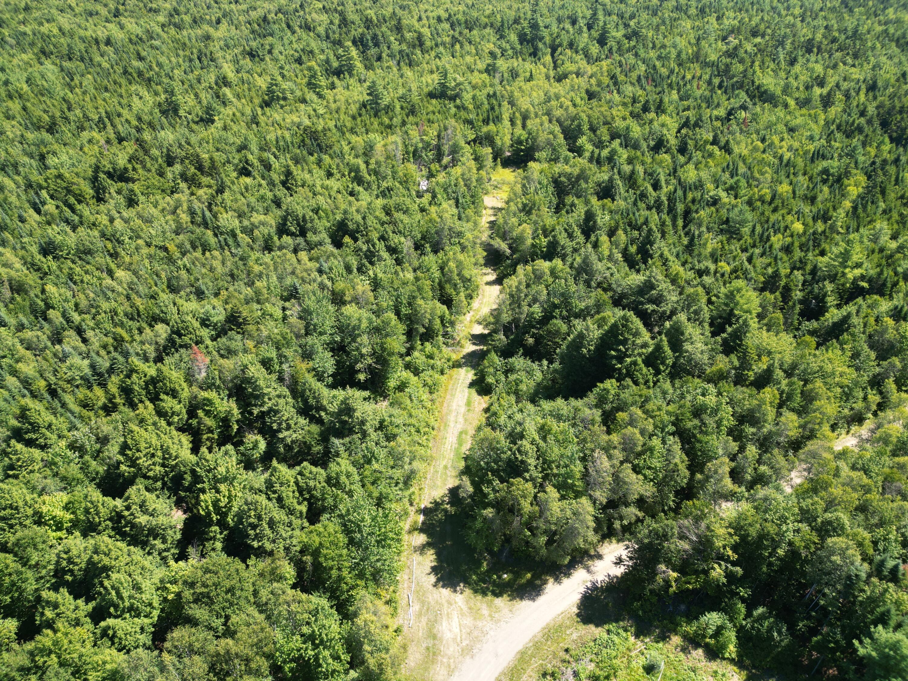 Lot 49 Independence Circle Springfield, ME 04487 - Photo 14 of 17 DJI_0952